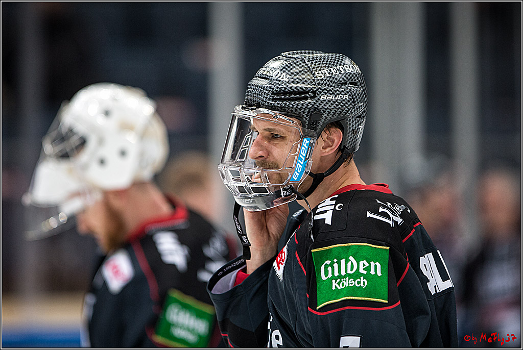 DEL, Koelner Haie - Nuernberg Ice Tiger, 24.01.2017